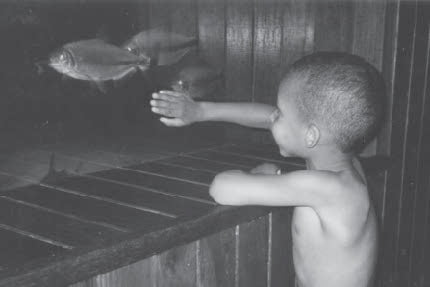 No aquário de Santos as crianças reconheceram muitas das espécies que tinham visto nos livros