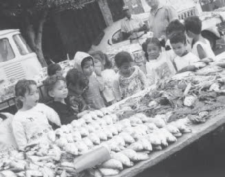 A feira do bairro foi um local importante para as crianças verem ao vivo peixes